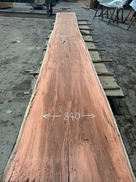 Red Gum Timber Slab - 5300mm x 840mm - NST231