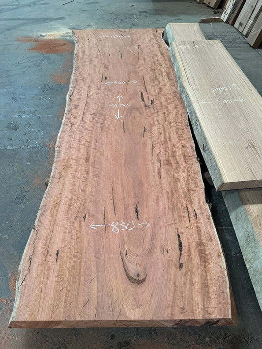 Red Gum Timber Slab - NST 211