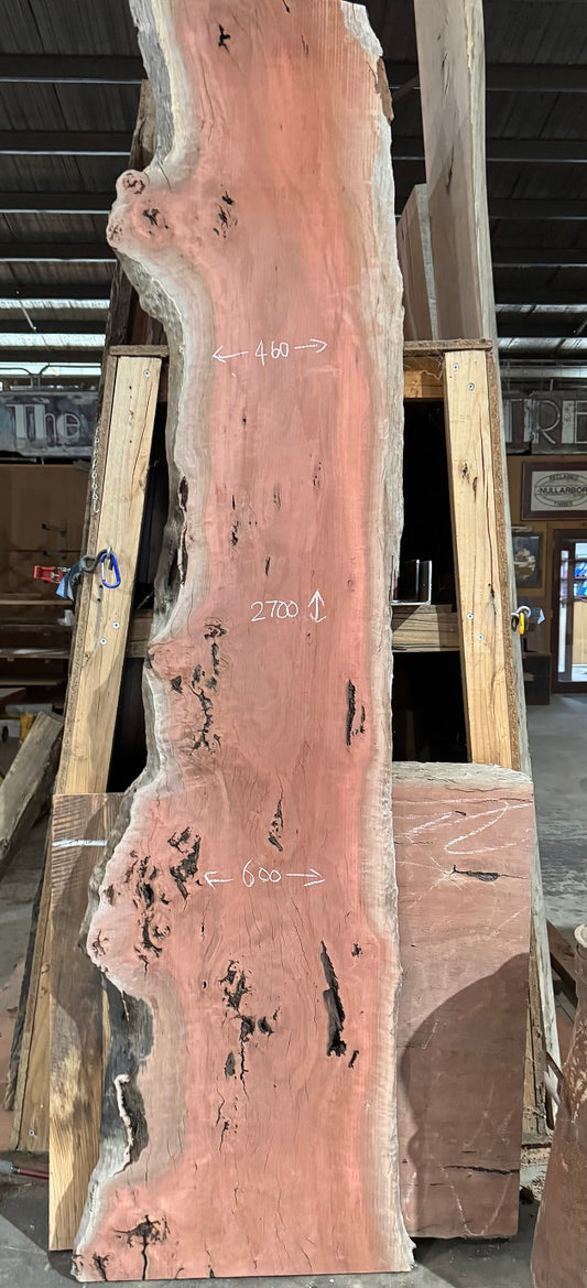 Red Gum Timber Slab - NST 213